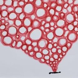 微信图片 20260217200450 72 2